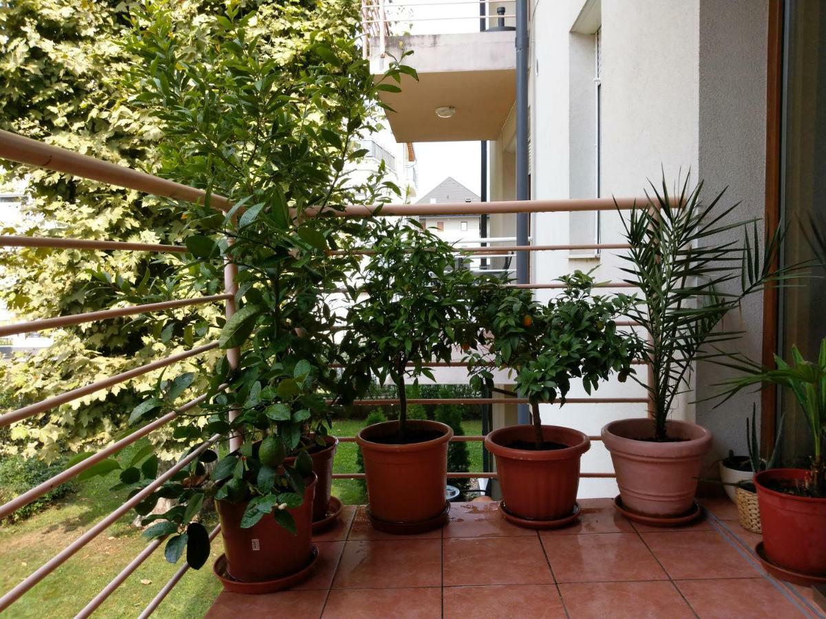 Mandarin Wellness Apartman Siofok Exterior photo